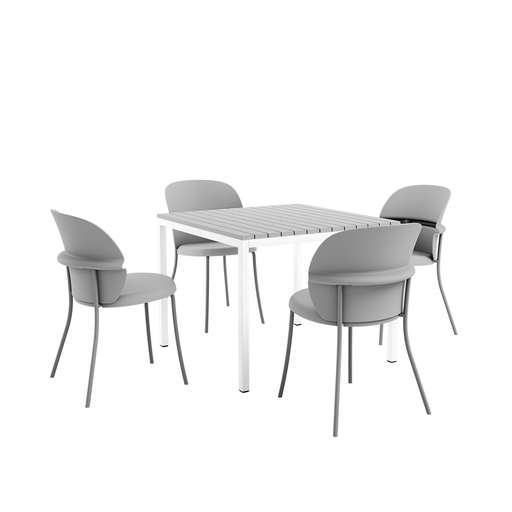 Begonia 5 részes szett